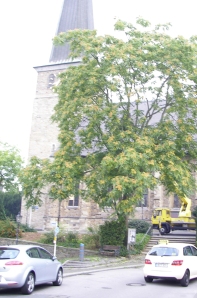 Petrikirche, 3. September 2012